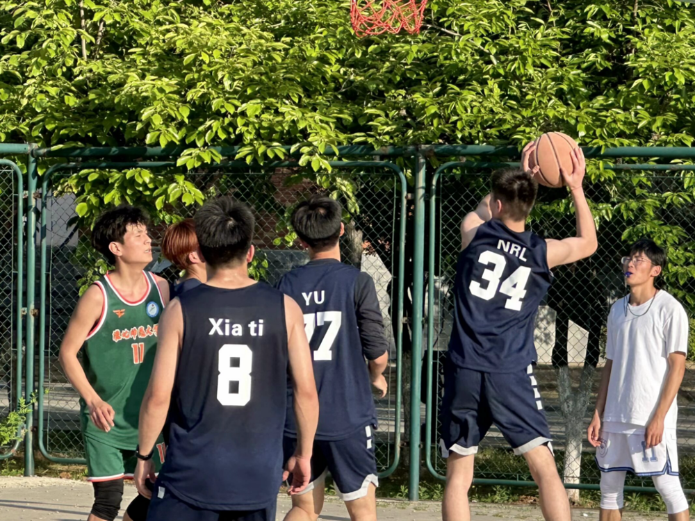 d8721304c2e04a129e97818400ce0269.png