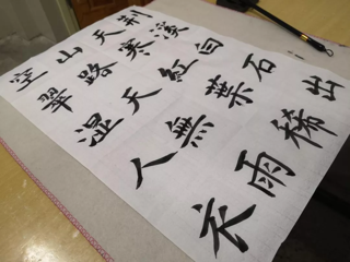 数学科学学院|天暗下来，你就是光