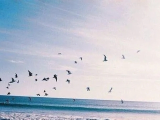 数学科学学院：考研特辑|披星戴月，观未来无限！