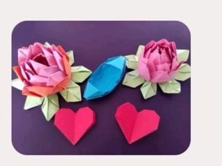 政法学院·“一鲸落，万物生”