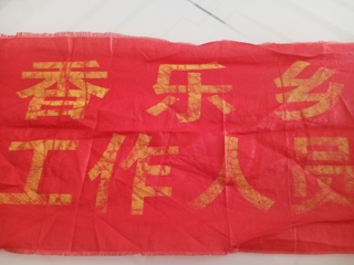 学子战疫|冀芸霞：上下同欲者胜，风雨同舟者兴