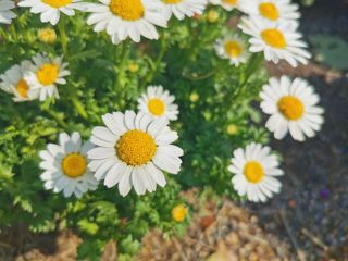 政法学院|"春暖花开“春日照片征集活动