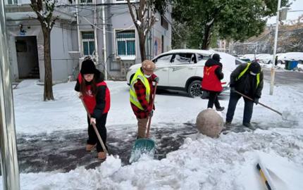 青春返家乡 筑梦新时代——物理与电子工程学院2026年寒假“返家乡”社会实践活动纪实